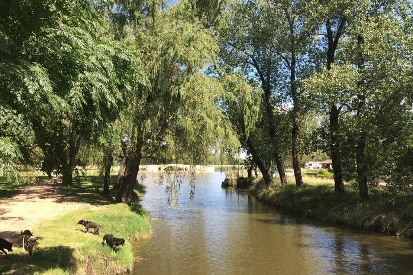 River Areco