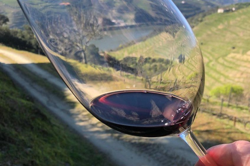 WineNot? 4
