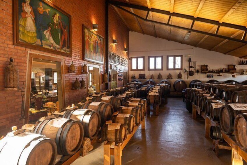 Cavedoni Balsamic Vinegar Tour: The Oldest in Modena 3