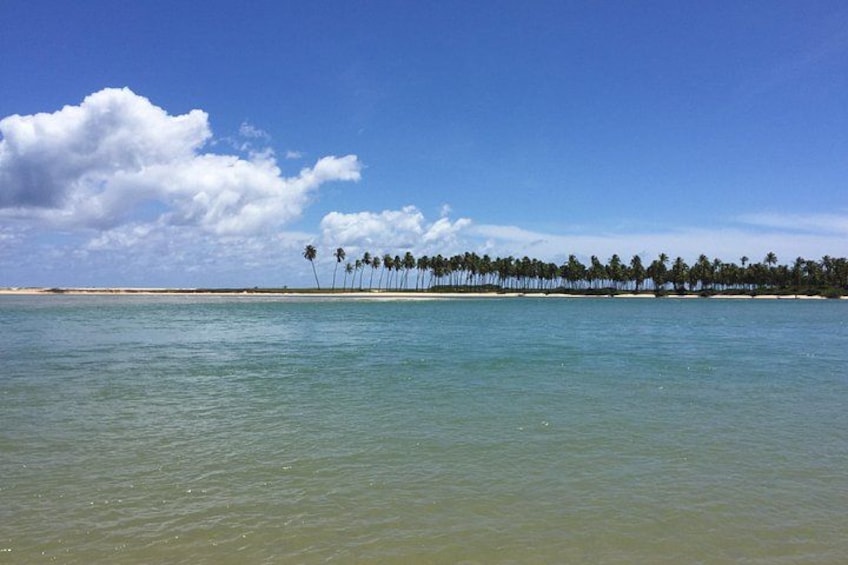 A beach with clear turquoise water, a sandy shore, and a line of palm trees against a blue sky with clouds. 2