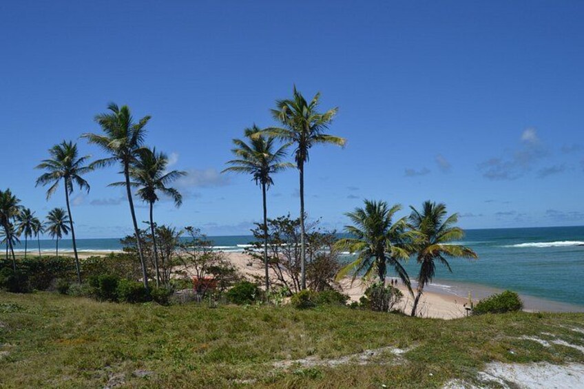 Full-Day Beach Hopping Tour from Salvador to Praia do Forte 2