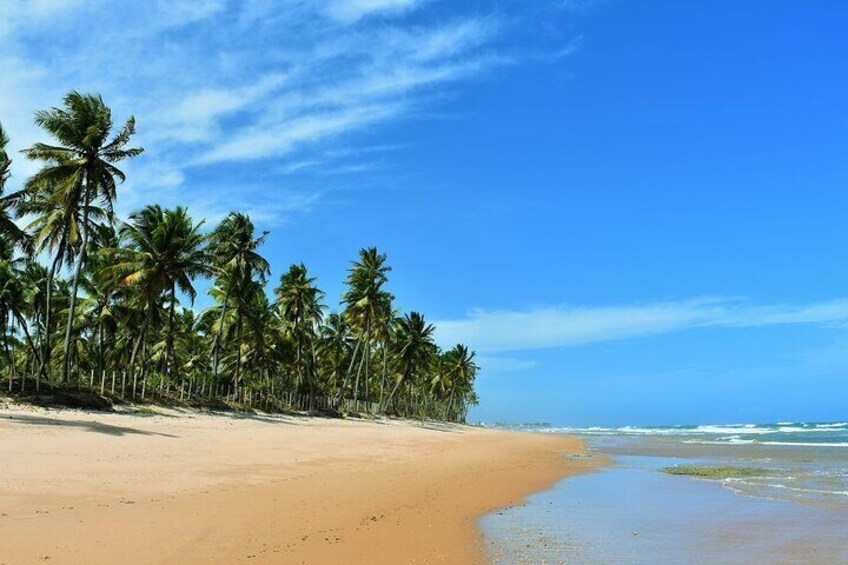 Full-Day Beach Hopping Tour from Salvador da Bahia, Brazil