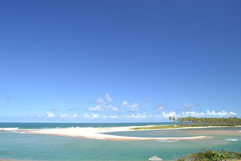 A clear blue sky, turquoise sea, sandy beach, and a distant tree line. 3