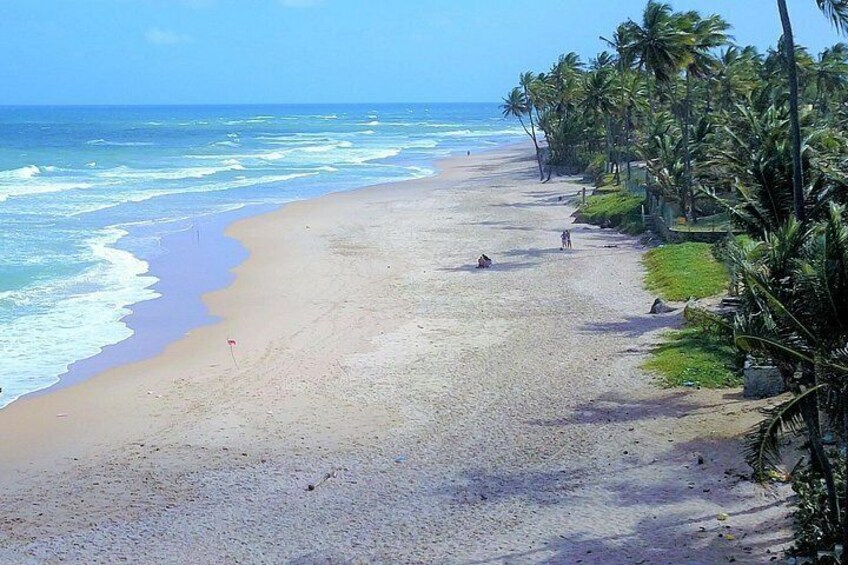 Full-Day Beach Hopping Tour from Salvador to Praia do Forte 3