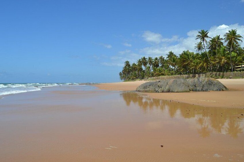 Full-Day Beach Hopping Tour from Salvador to Praia do Forte 2
