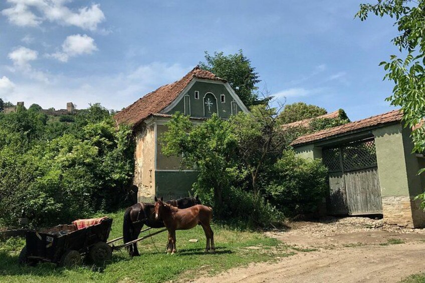 A rural scene with a green building, a horse, and a cart. 3