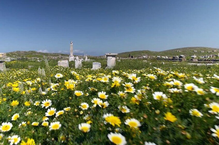 Delos in Spring 4