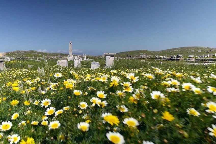Delos in Spring 2