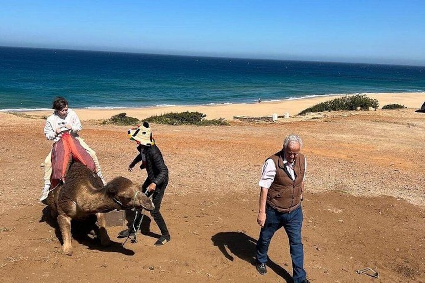 Morocco: Tangier Private Tour from Malaga & Tarifa, All Inclusive 2