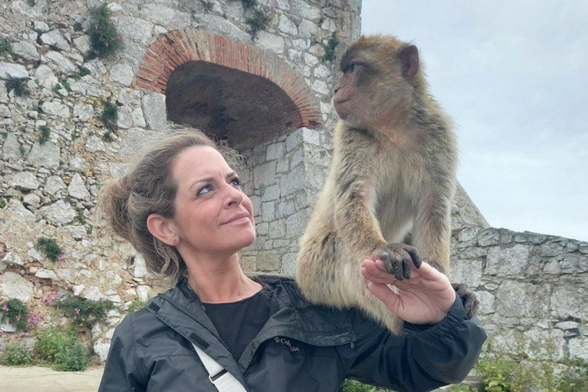 Gibraltar Private Tour from Malaga and Surrounding Areas 1