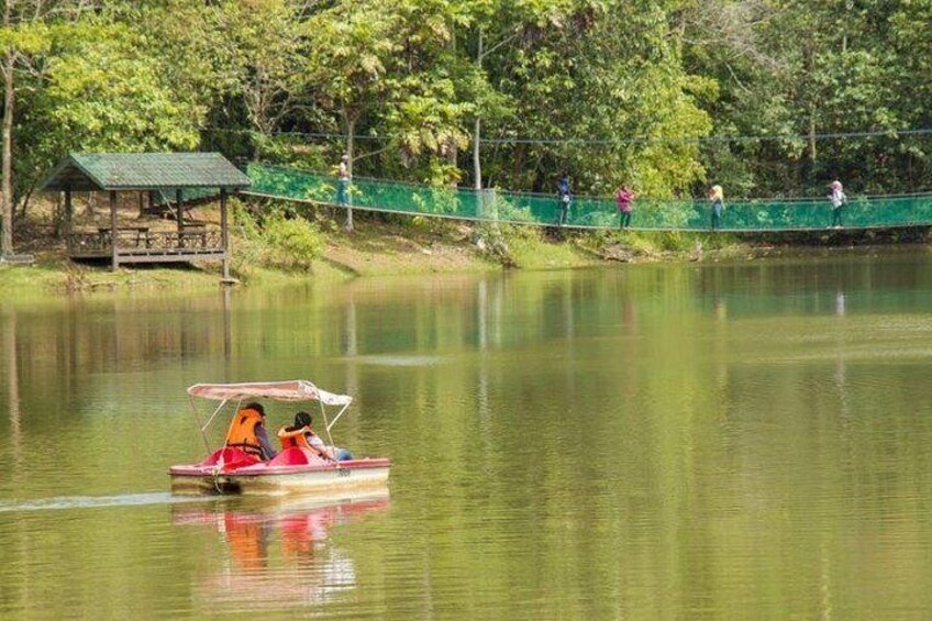 Private Full Day Sepilok Orang Utan, Bornean Sun Bear and Rainforest Discovery Center Tour 3