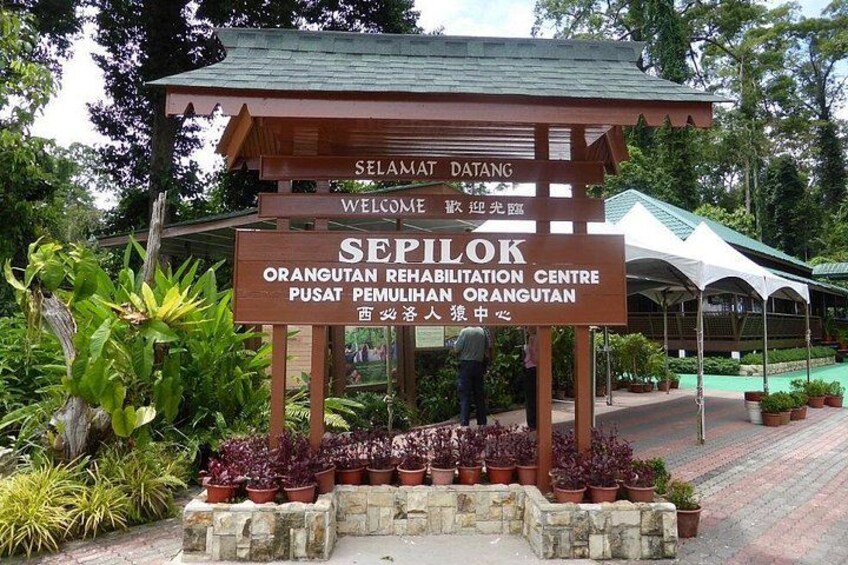 A sign for Sepilok Orangutan Rehabilitation Centre with a welcoming message. 4