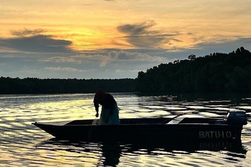 Mangrove Cruise with Fireflies Tour Including Dinner from Sandakan 2