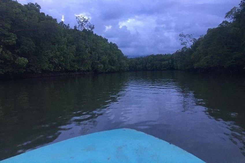 A river surrounded by dense forest, calm water, and a boat in the foreground. 2