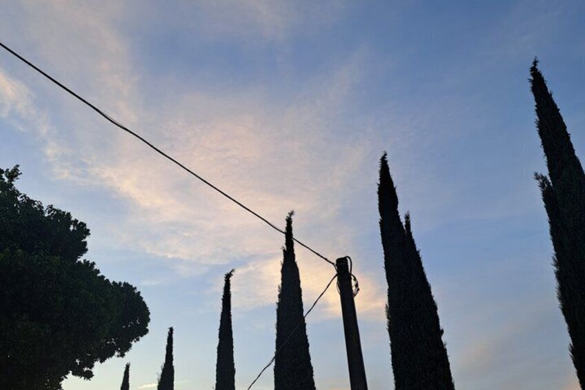 Wine Tour and Tasting at Le Marche's Oldest Wine Estate 2
