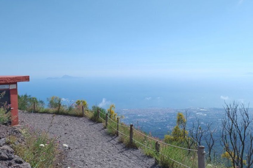 Mt Vesuvius Half-Day Trip from Naples 5