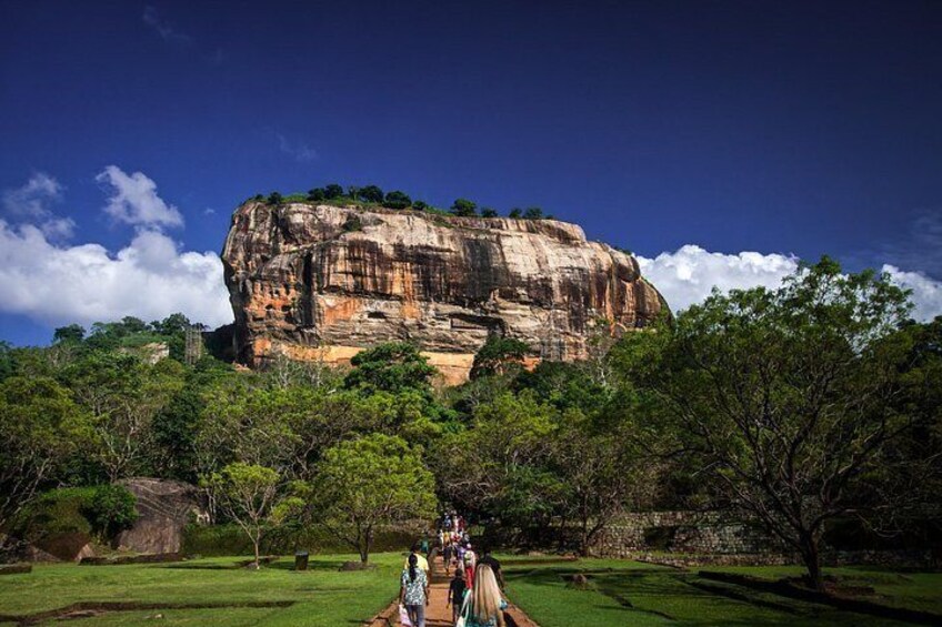 A large rock formation with trees in the foreground. 5