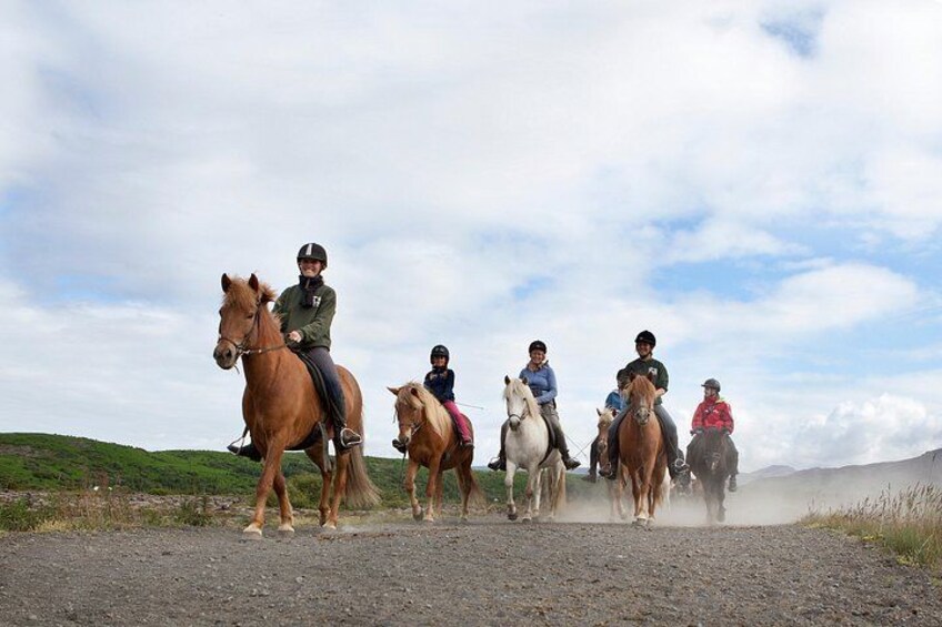 Icelandic Horseback Riding Tour with Pickup Option from Reykjavik 2