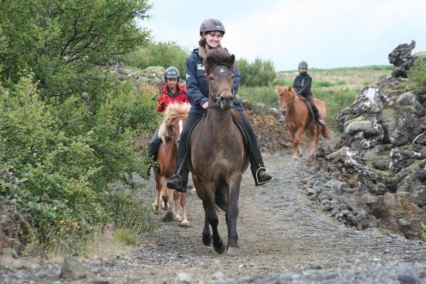 Icelandic Horseback Riding Tour with Pickup Option from Reykjavik 2