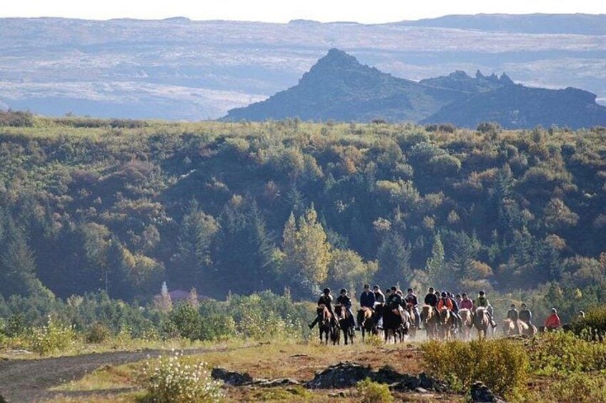Icelandic Horseback Riding Tour with Pickup Option from Reykjavik 2