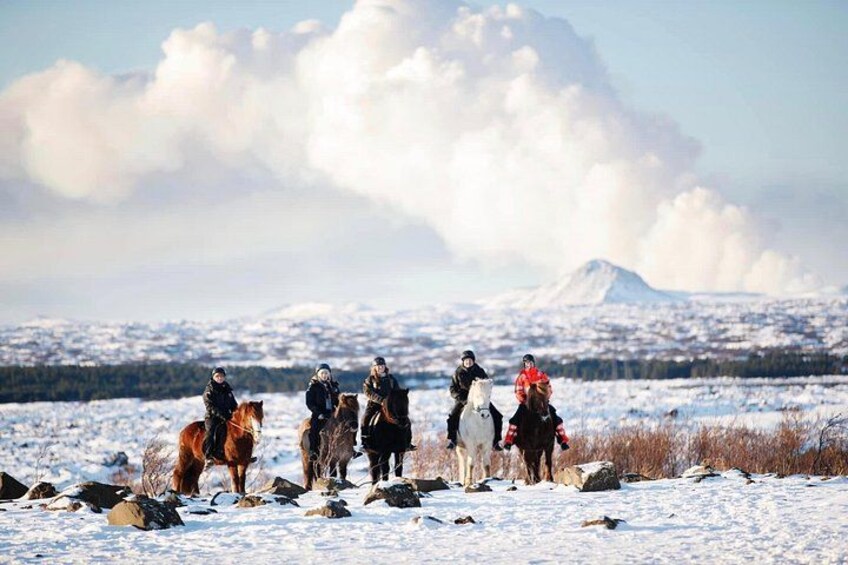 Icelandic Horseback Riding Tour with Pickup Option from Reykjavik 3