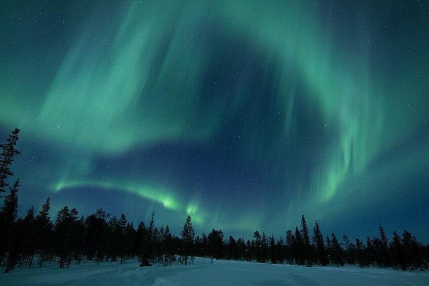 The Northern Lights over a snowy landscape with trees. 1