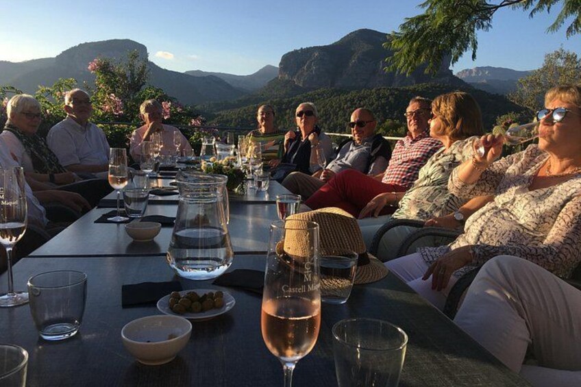 Discover the varieties of Mallorca wine,experience the real taste 1