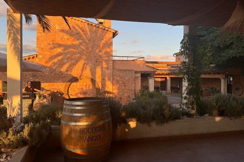 Discover the varieties of Mallorca wine,experience the real taste 4