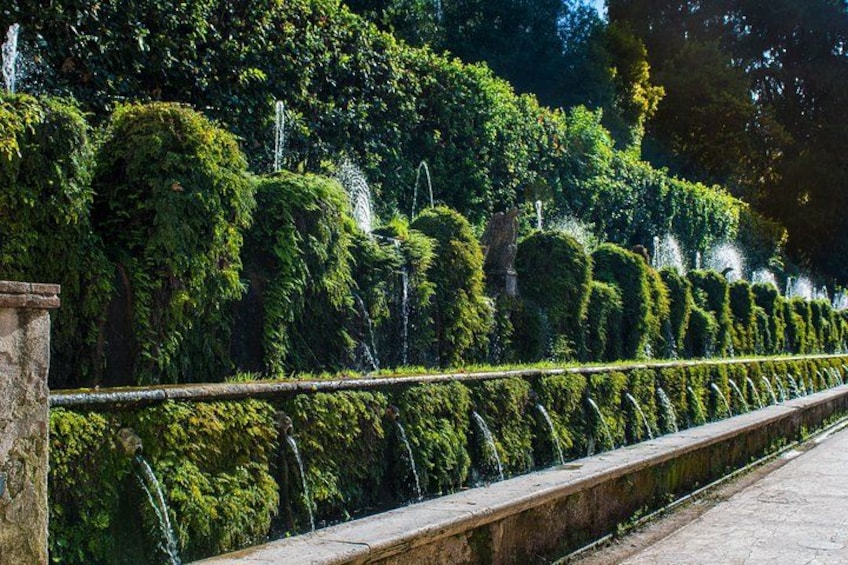 A well-maintained garden with neatly trimmed hedges and a stone wall. 1