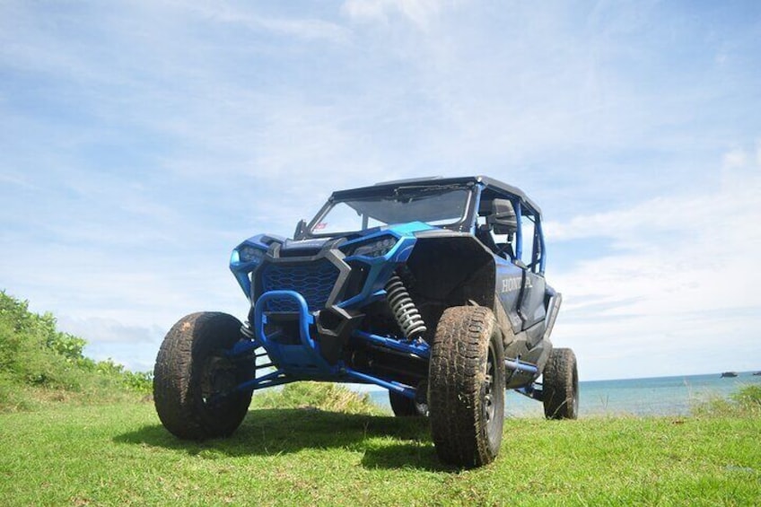 A blue off-road vehicle parked on a grassy area near a body of water. 5