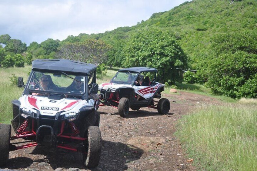 Two off-road vehicles on a dirt path surrounded by greenery. 4