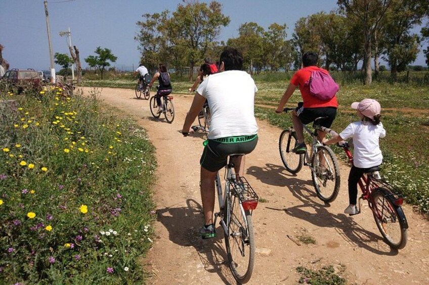 Puglia Bike Tour: Cycling Through the History of Extra Virgin Olive Oil 3