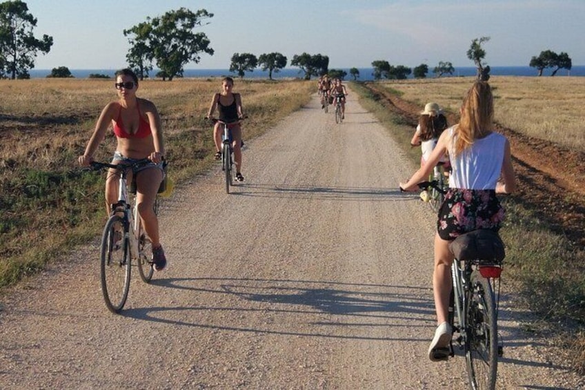 Puglia Bike Tour: Cycling Through the History of Extra Virgin Olive Oil 2