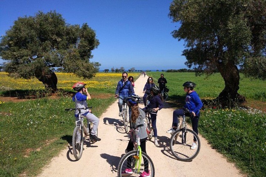 Puglia Bike Tour: Cycling Through the History of Extra Virgin Olive Oil 2