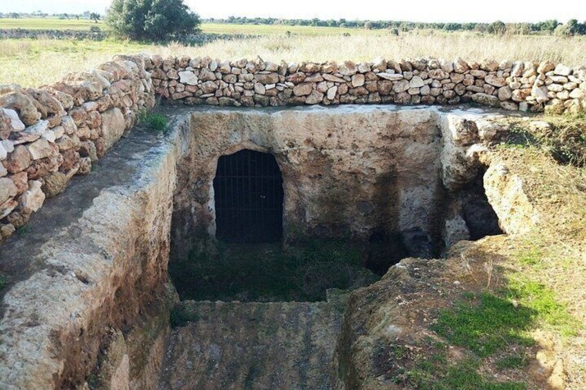 Puglia Bike Tour: Cycling Through the History of Extra Virgin Olive Oil 4