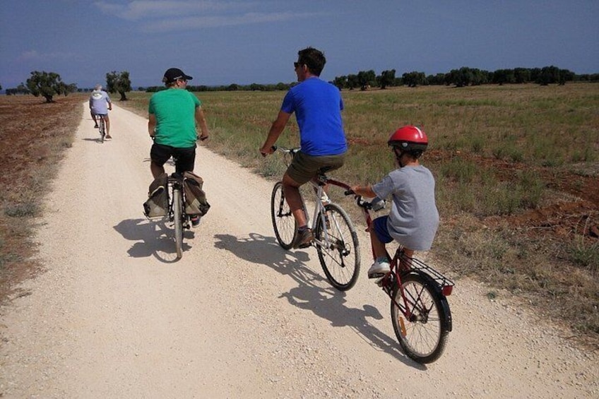 Puglia Bike Tour: Cycling Through the History of Extra Virgin Olive Oil 5