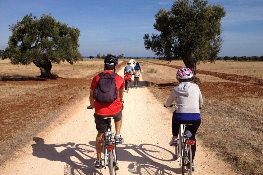 Group with kids cycling on Puglia's Postcard road 1