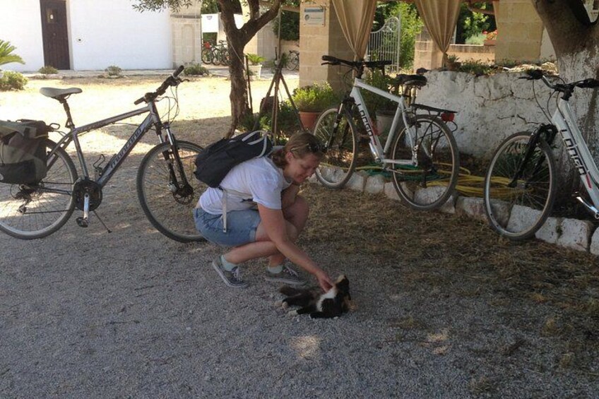 Puglia Bike Tour: Cycling Through the History of Extra Virgin Olive Oil 3