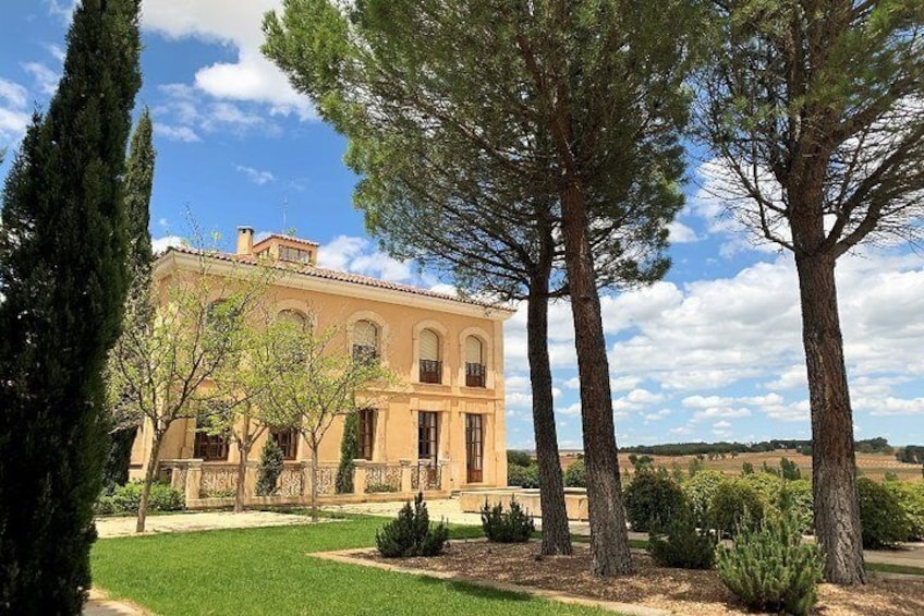 PRIVATE TOUR - Premium Ribera del Duero wine tour with lunch & hotel pick-up