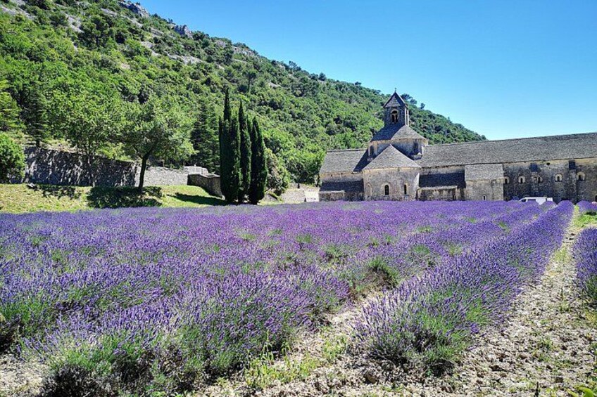 Abbaye Notre-Dame de Sénanque 4