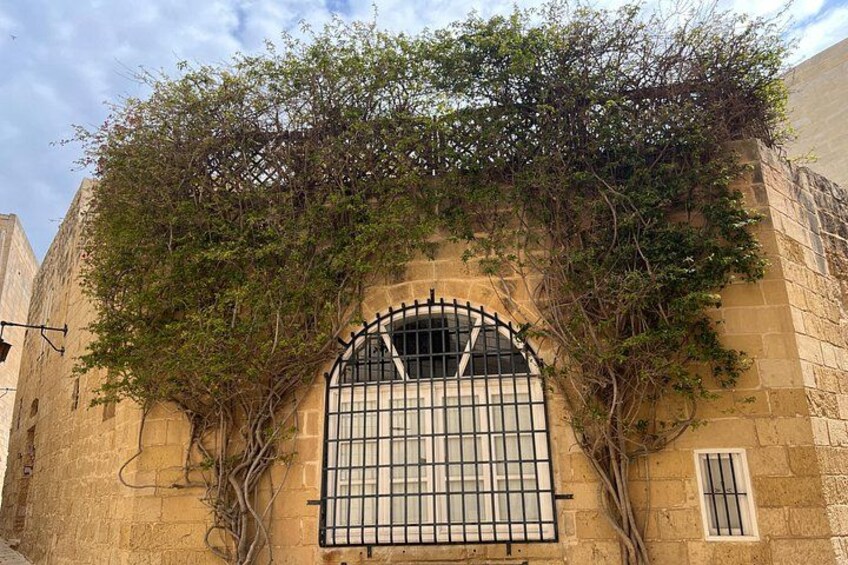 Mdina 3