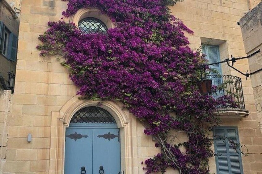 Mdina 2