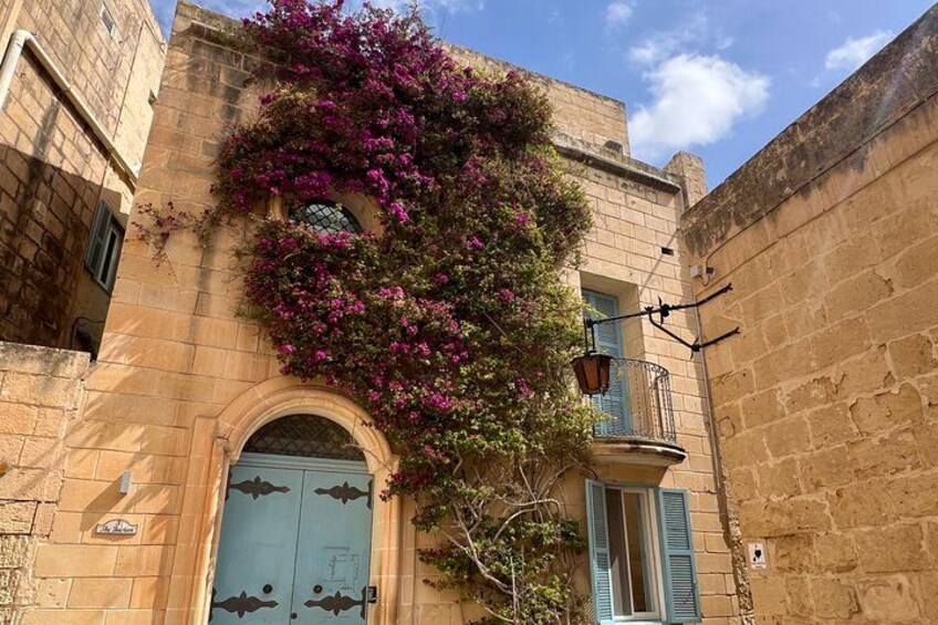 A building with a blue door, a balcony with blue shutters, and purple flowering vines. 2