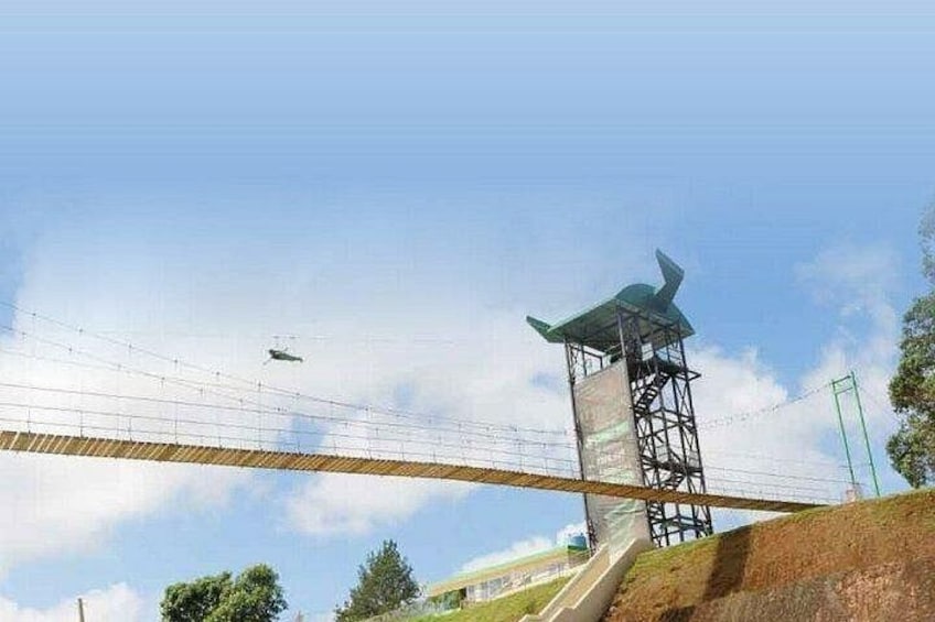 The Monster: America's Longest Zipline, Puerto Rico 4