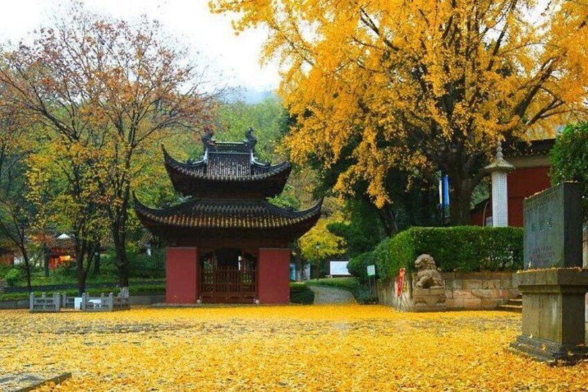 A traditional Chinese pavilion with a red base and black roof, surrounded by yellow autumn leaves and trees. 2