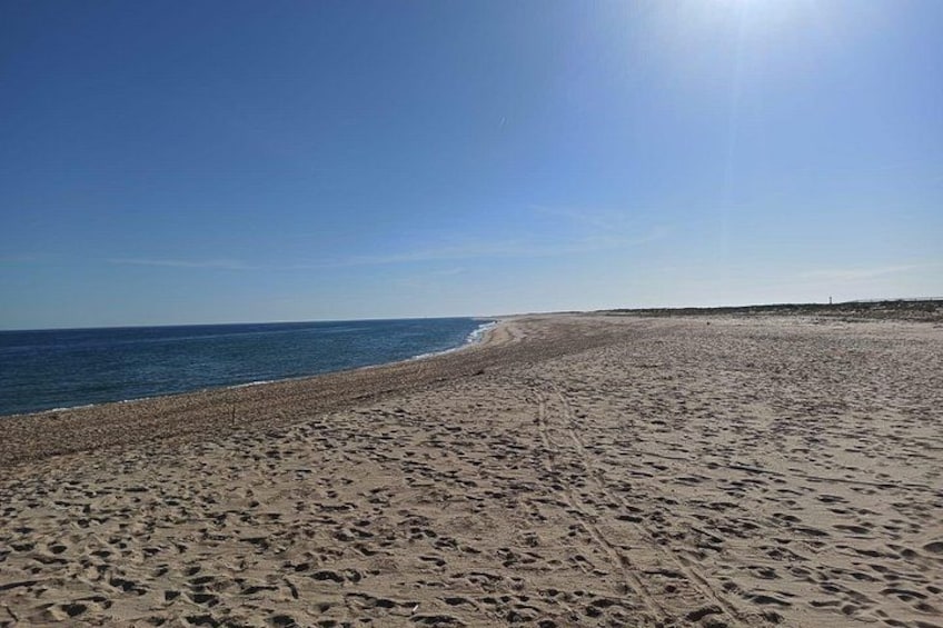 En sandstrand med fodspor, der fører hen til vandet. 2