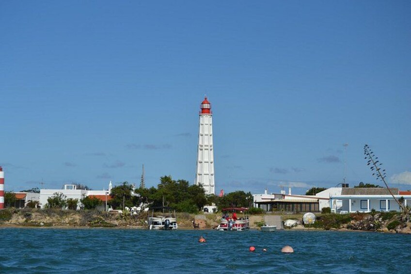 Ria Formosa Natural Park and Islands Boat Cruise from Faro 3