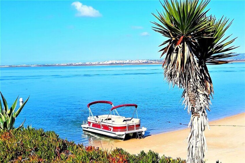 Ria Formosa Natural Park and Islands Boat Cruise from Faro 5