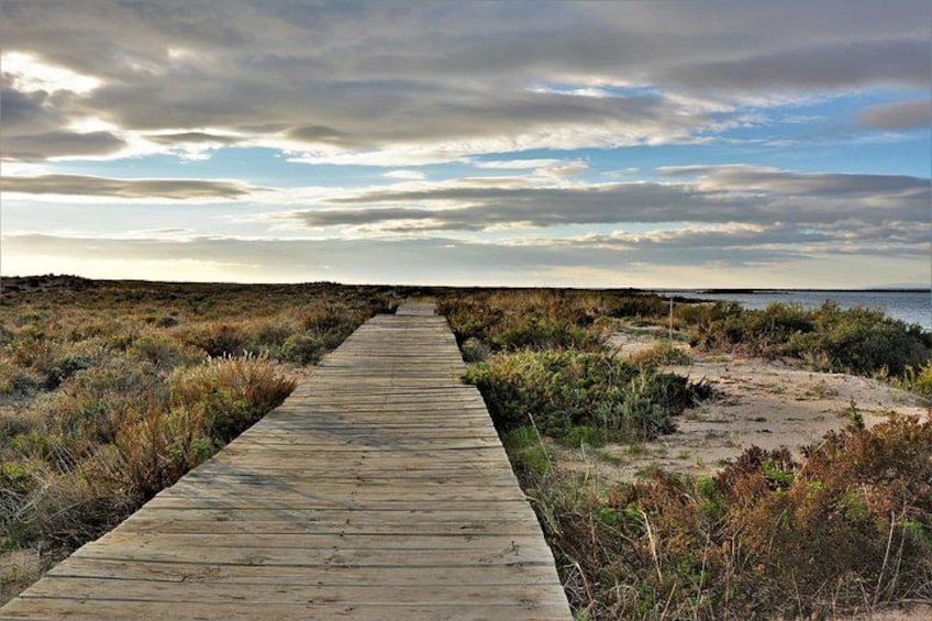 Deserta island hiking trail 3