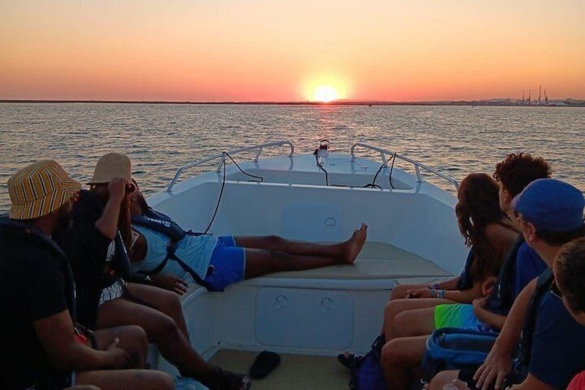 Ria Formosa Natural Park and Islands Boat Cruise from Faro 2